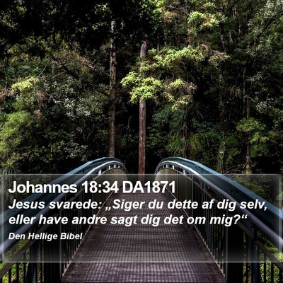 Johannes 18:34 DA1871 Bible Verse Image