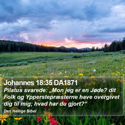 Johannes 18:35 DA1871 Bible Verse Image