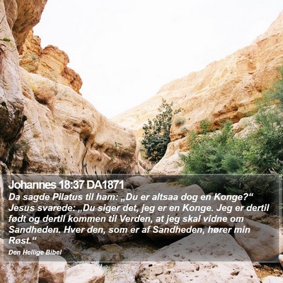 Johannes 18:37 DA1871 Bible Verse Image
