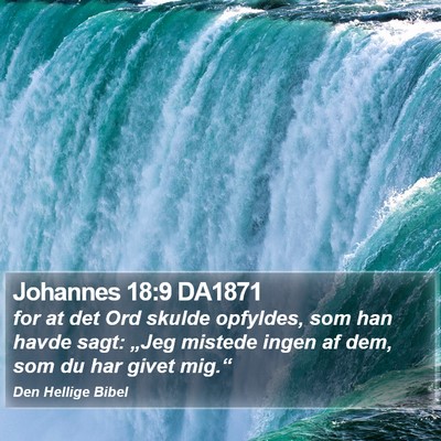 Johannes 18:9 DA1871 Bible Verse Image
