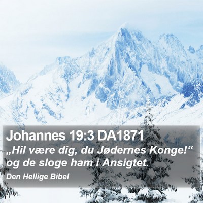 Johannes 19:3 DA1871 Bible Verse Image