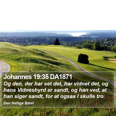 Johannes 19:35 DA1871 Bible Verse Image