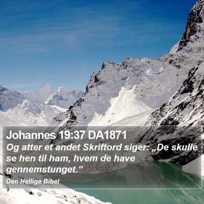 Johannes 19:37 DA1871 Bible Verse Image