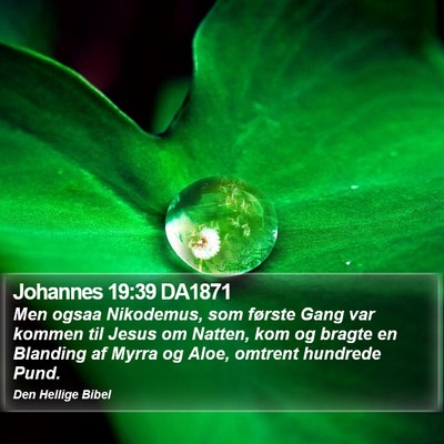 Johannes 19:39 DA1871 Bible Verse Image