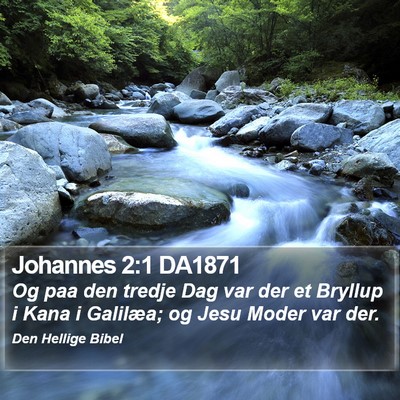 Johannes 2:1 DA1871 Bible Verse Image