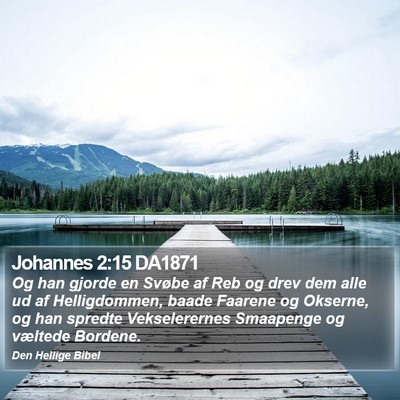 Johannes 2:15 DA1871 Bible Verse Image