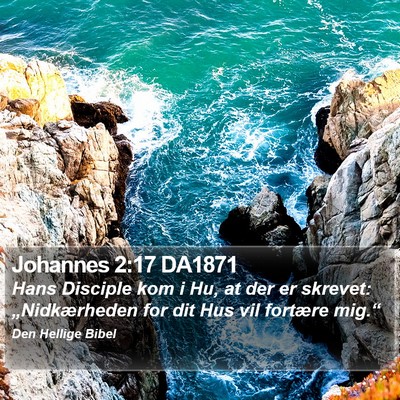 Johannes 2:17 DA1871 Bible Verse Image