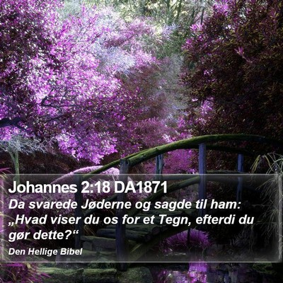 Johannes 2:18 DA1871 Bible Verse Image