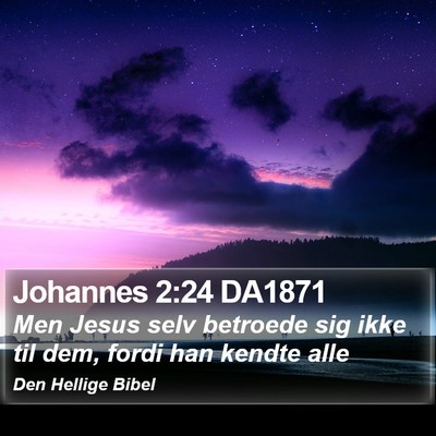 Johannes 2:24 DA1871 Bible Verse Image