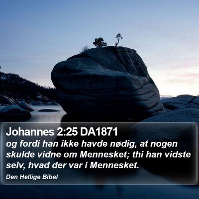 Johannes 2:25 DA1871 Bible Verse Image