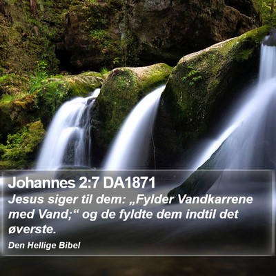 Johannes 2:7 DA1871 Bible Verse Image