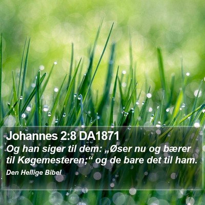 Johannes 2:8 DA1871 Bible Verse Image
