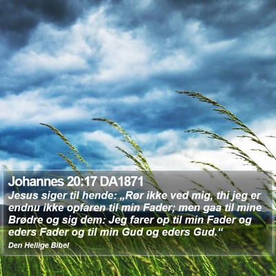 Johannes 20:17 DA1871 Bible Verse Image