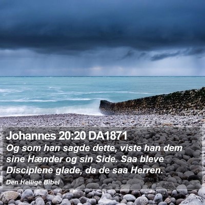Johannes 20:20 DA1871 Bible Verse Image
