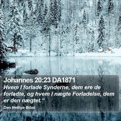 Johannes 20:23 DA1871 Bible Verse Image