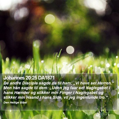 Johannes 20:25 DA1871 Bible Verse Image
