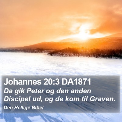 Johannes 20:3 DA1871 Bible Verse Image