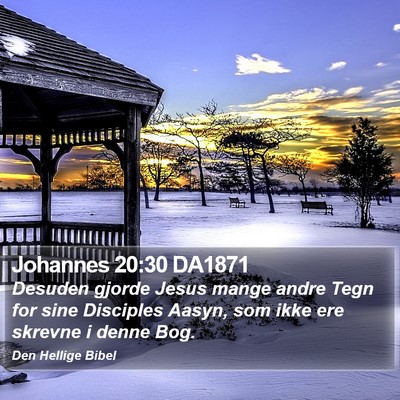 Johannes 20:30 DA1871 Bible Verse Image