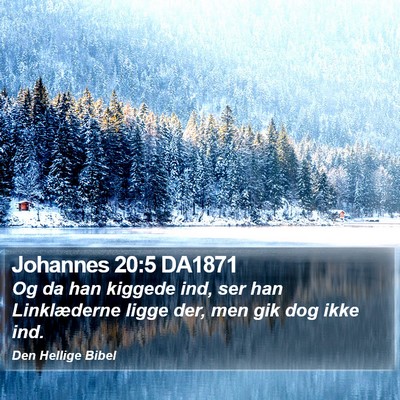 Johannes 20:5 DA1871 Bible Verse Image