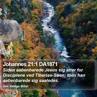Johannes 21:1 DA1871 Bible Verse Image