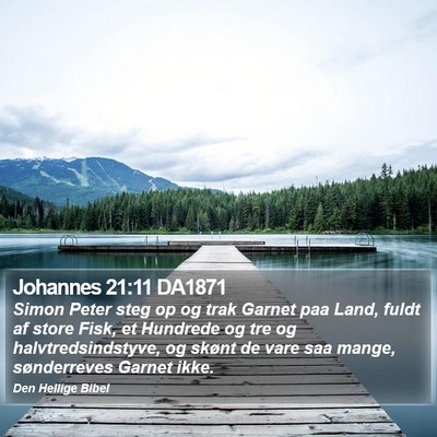 Johannes 21:11 DA1871 Bible Verse Image