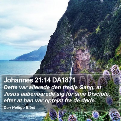 Johannes 21:14 DA1871 Bible Verse Image