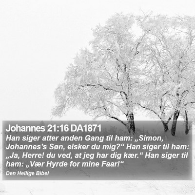 Johannes 21:16 DA1871 Bible Verse Image