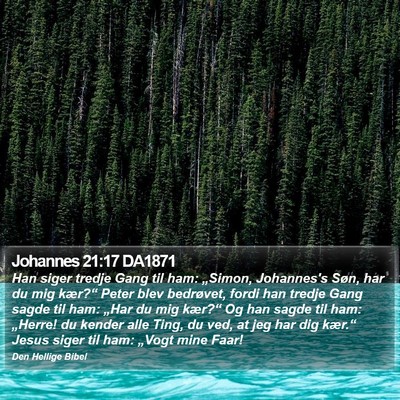 Johannes 21:17 DA1871 Bible Verse Image