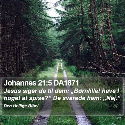 Johannes 21:5 DA1871 Bible Verse Image