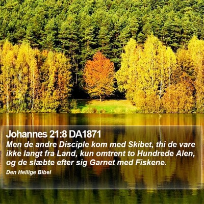 Johannes 21:8 DA1871 Bible Verse Image