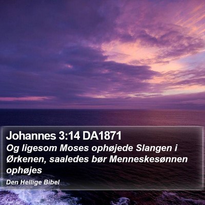 Johannes 3:14 DA1871 Bible Verse Image