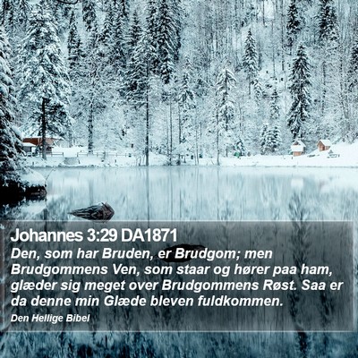 Johannes 3:29 DA1871 Bible Verse Image