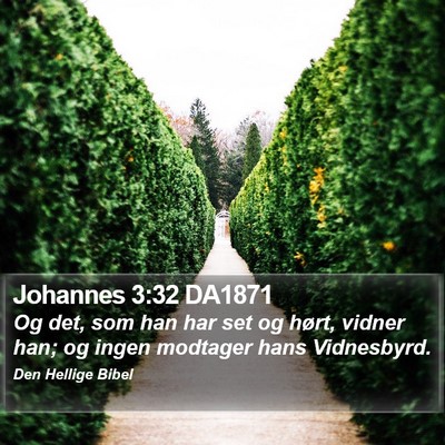 Johannes 3:32 DA1871 Bible Verse Image