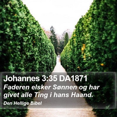 Johannes 3:35 DA1871 Bible Verse Image
