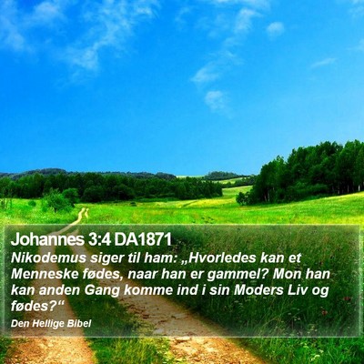 Johannes 3:4 DA1871 Bible Verse Image
