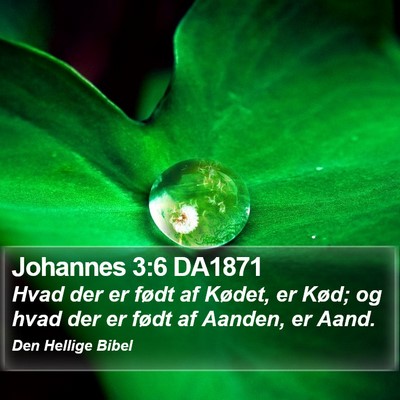 Johannes 3:6 DA1871 Bible Verse Image