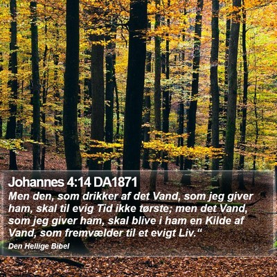 Johannes 4:14 DA1871 Bible Verse Image