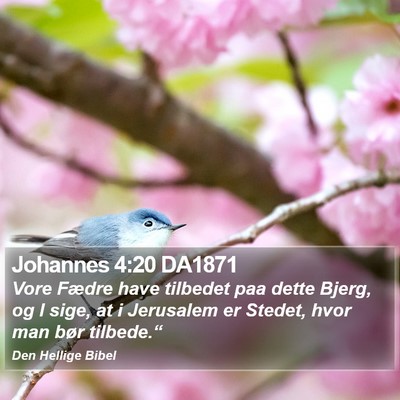 Johannes 4:20 DA1871 Bible Verse Image