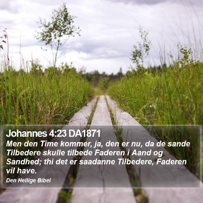 Johannes 4:23 DA1871 Bible Verse Image