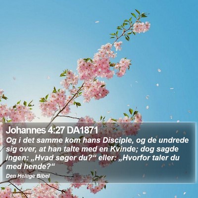 Johannes 4:27 DA1871 Bible Verse Image