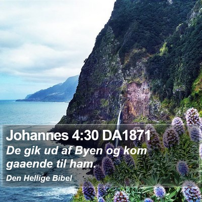 Johannes 4:30 DA1871 Bible Verse Image