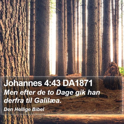 Johannes 4:43 DA1871 Bible Verse Image