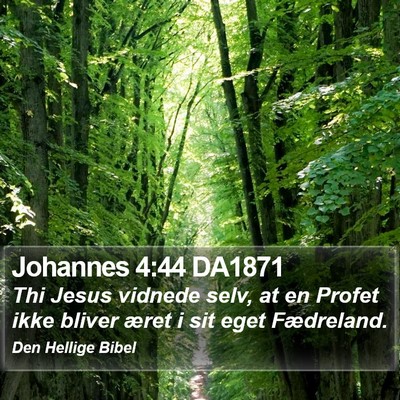 Johannes 4:44 DA1871 Bible Verse Image