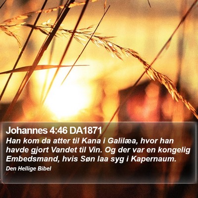 Johannes 4:46 DA1871 Bible Verse Image