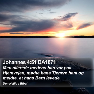 Johannes 4:51 DA1871 Bible Verse Image