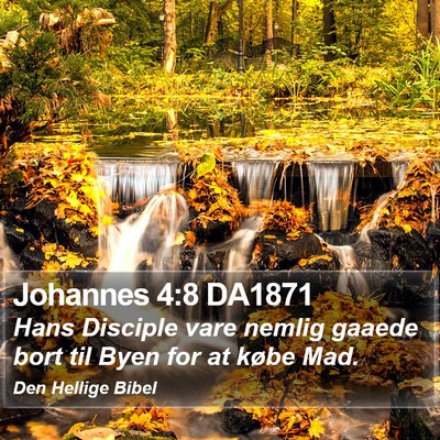 Johannes 4:8 DA1871 Bible Verse Image