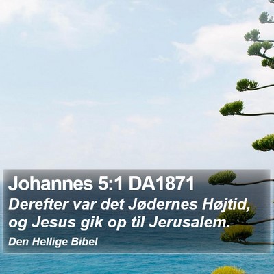 Johannes 5:1 DA1871 Bible Verse Image