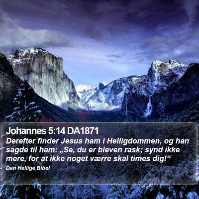 Johannes 5:14 DA1871 Bible Verse Image