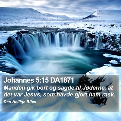 Johannes 5:15 DA1871 Bible Verse Image