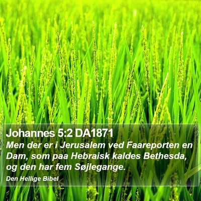 Johannes 5:2 DA1871 Bible Verse Image